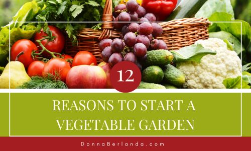 12 reasons to start a vegetable garden. DonnaBerlanda.com Basket of fresh vegetables.