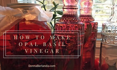 Glass bottles of opal basil vinegar