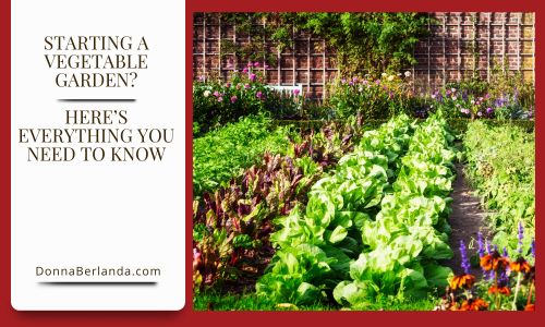 Want to start a vegetable garden but don’t know where to begin? It’s easier than you think! Whether you have a big yard, a small patio, or just a few containers, you can grow fresh, delicious vegetables right at home.